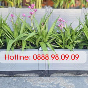 Chậu Ghép Thông Minh HDPE Rộng 30cm