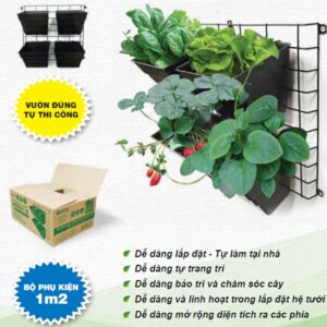Bộ Module vườn tường JupiWall-16